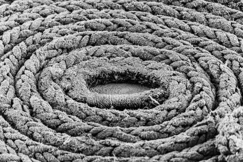 Bungee Cord
